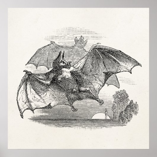 Vampire Bats Aangepaste Retro Bats Poster (Voorkant)