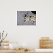 Vampire Dog Poster (Keuken)