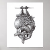 Vampire Owl - Zeer eng Poster (Voorkant)