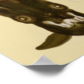 Vampire Squid Black Zee Created Art Print (Hoek)