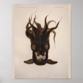 Vampire Squid Black Zee Created Art Print (Voorkant)