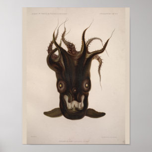 Vampire Squid Black Zee Created Art Print