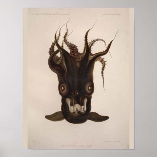 Vampire Squid Black Zee Created Art Print (Voorkant)
