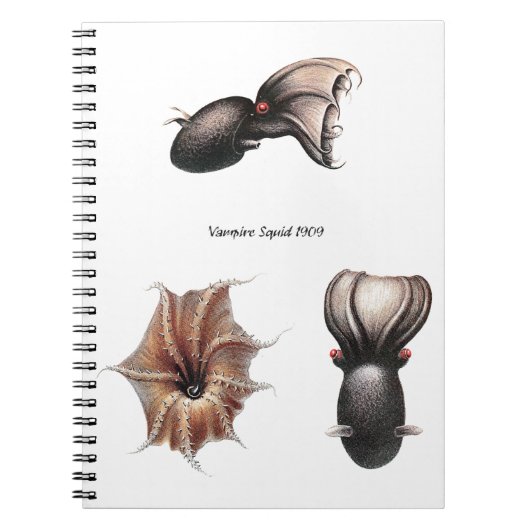 Vampire Squid Notebook Notitieboek (Voorkant)
