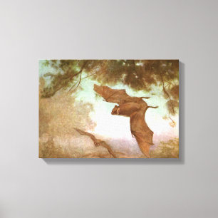 Vampire vleermuizen van CE Swan,  wilde dieren Canvas Afdruk