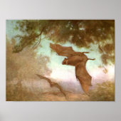 Vampire vleermuizen van CE Swan,  wilde dieren Poster (Voorkant)