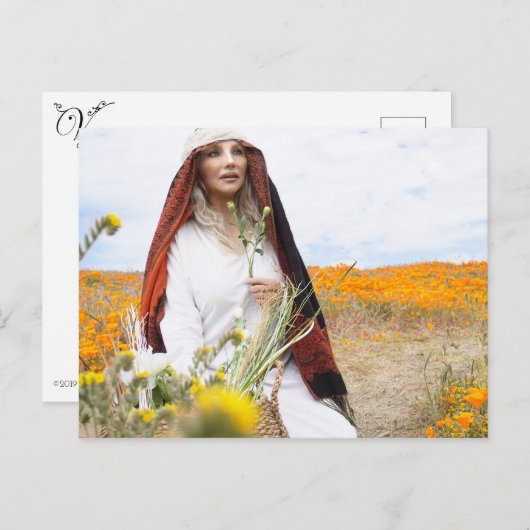 Vamplified Poppy Gardens Briefkaart (Voorkant / Achterkant)