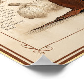 Vampurr: Cat Vampire Creature Poster (Hoek)