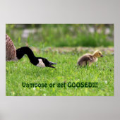 Vamsachtig Poster (Voorkant)