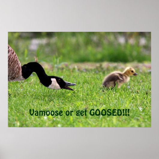 Vamsachtig Poster (Voorkant)