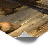 Van achteren poster (Hoek)