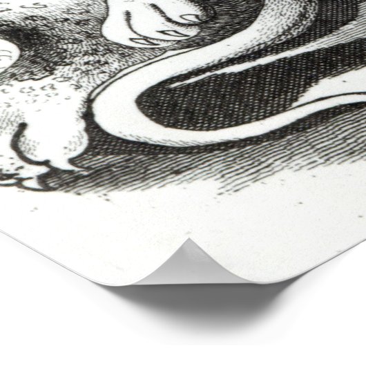 Van Amburgh de Brute Tamer, 1838 Poster (Hoek)