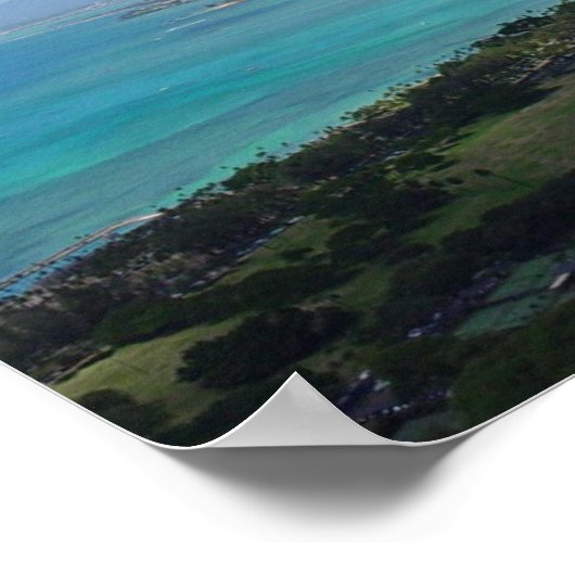 Van Atop Diamondhead 2 Poster (Hoek)