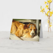 Van "beste Vrienden" de Kaart (Gele Bloem)