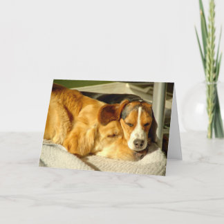 Van "beste Vrienden" de Kaart