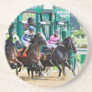 Van bij Saratoga Zandsteen Onderzetter