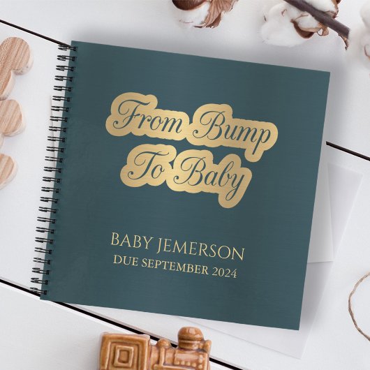 Van Bump naar Baby Keepsake Pregnancy Journal Notitieboek