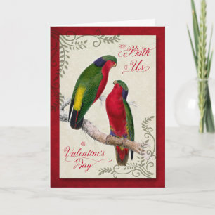 van Couple Valentijnsdag Loriket Parrots Feestdagen Kaart