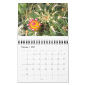 Van de aardmassa kalender (Feb 2027)