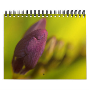 Van de aardmassa kalender