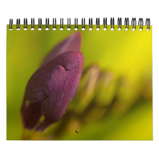 Van de aardmassa kalender