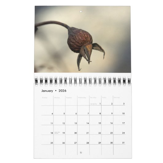 Van de aardmassa kalender (Jan 2026)