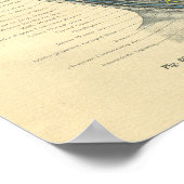  van de anatomische laterale nek poster (Hoek)