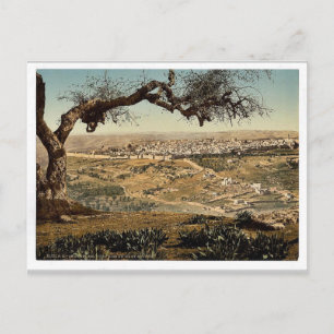 Van de berg Scopus, Jeruzalem, Heilige Land, klass Briefkaart