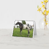 VAN DE BIJ BOOGIE DE KAARTEN VAN DE JET- NOTA (Gele Bloem)