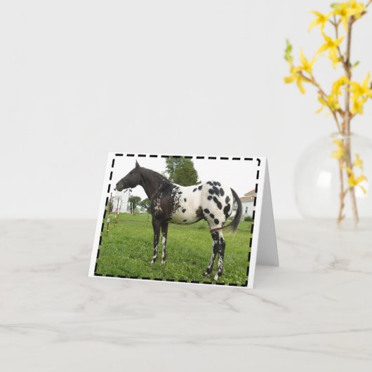 VAN DE BIJ BOOGIE DE KAARTEN VAN DE JET- NOTA (Gele Bloem)