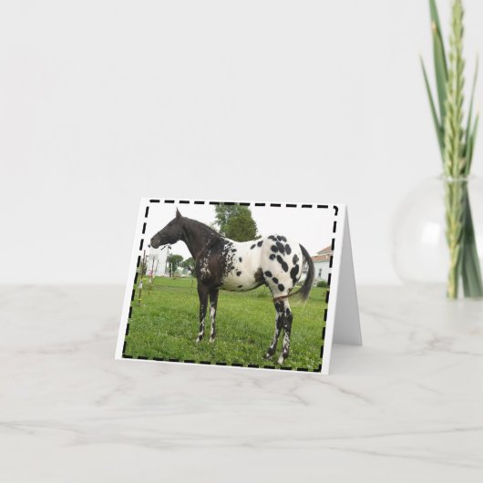 VAN DE BIJ BOOGIE DE KAARTEN VAN DE JET- NOTA (Voorkant)