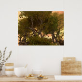 Van de bomen poster (Keuken)