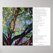 Van de bomen poster (Voorkant)