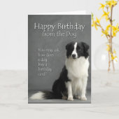 Van de Border Collie Kaart (Gele Bloem)