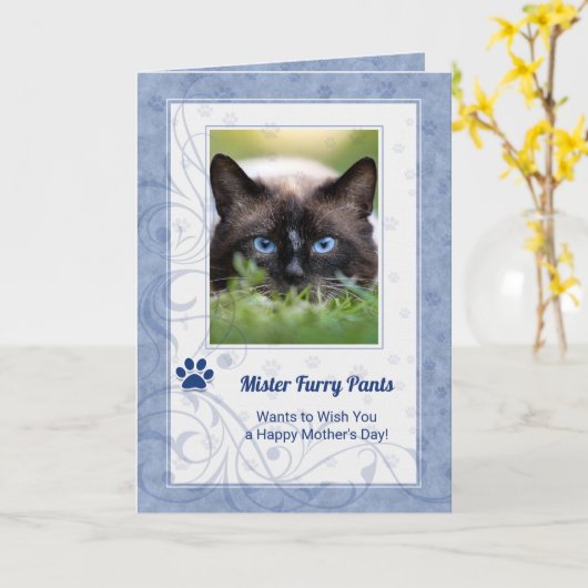 van de Cat-Moederdag in Periwinkle Blue foto Kaart (Gele Bloem)