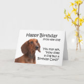 Van de Dachshund Verjaardag Kaart (Gele Bloem)