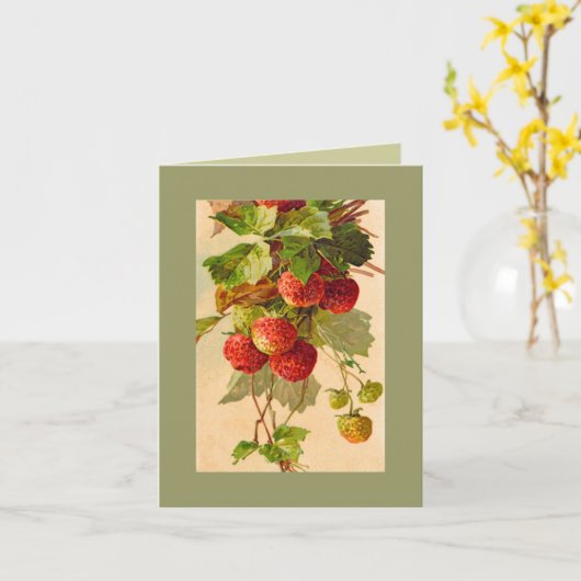 Van de de aardbeienNOTA van Catherine Klein de Kaart (Gele Bloem)