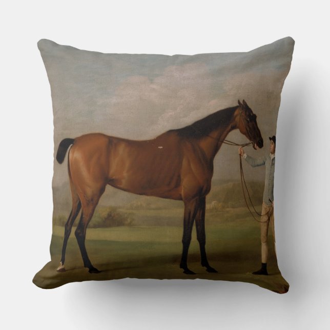 van de de boerderijrit van het paardboerderij de kussen (Voorkant)