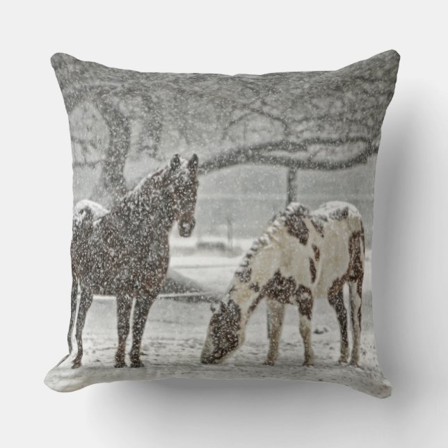 van de de boerderijrit van het paardboerderij de kussen (Voorkant)