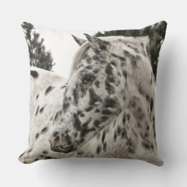 van de de boerderijrit van het paardboerderij de kussen