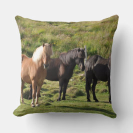 van de de boerderijrit van het paardboerderij de kussen