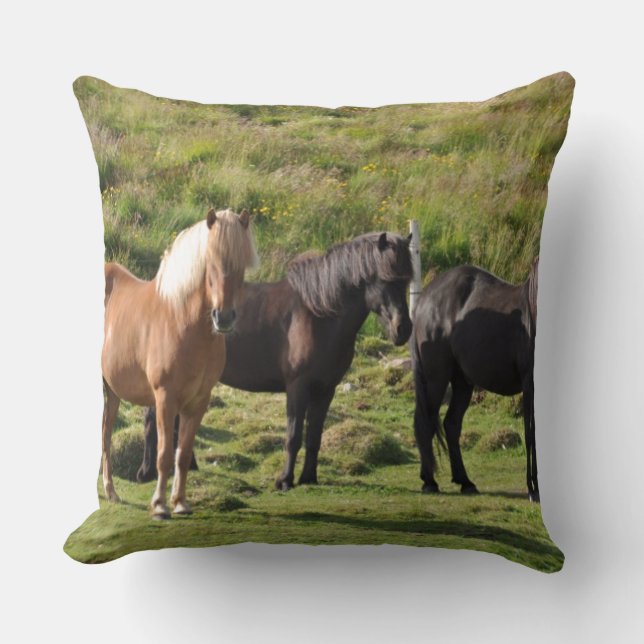 van de de boerderijrit van het paardboerderij de kussen (Voorkant)