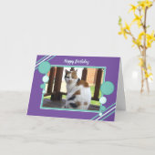 Van de de kattenzitting van het calico de foto kaart (Gele Bloem)