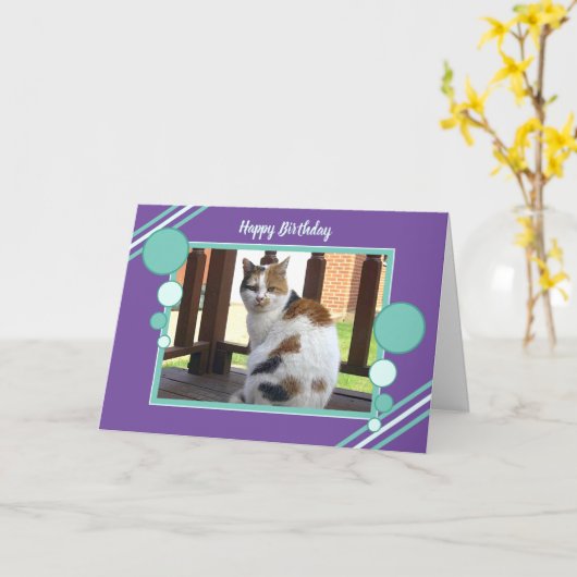 Van de de kattenzitting van het calico de foto kaart (Gele Bloem)