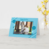 Van de de kattenzitting van het calico de foto kaart (Gele Bloem)