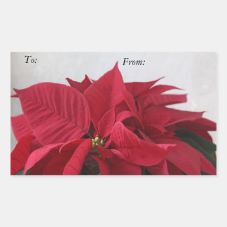 Van de de poinsettiagift van Kerstmis het Rechthoekige Sticker