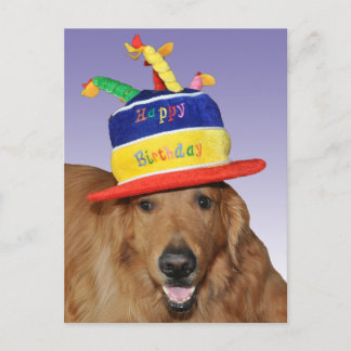 Van de de verjaardagscake van het golden retriever briefkaart