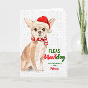 van de Dog Funny Chihuahua Kerstmis Feestdagen Kaart