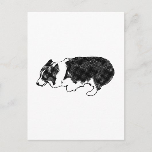 Van de ene herder tot de andere briefkaart (Voorkant)