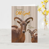 Van de ene oude Kaart naar de andere (Gele Bloem)